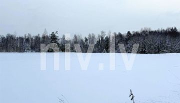 Лес в Цесвайнской волости