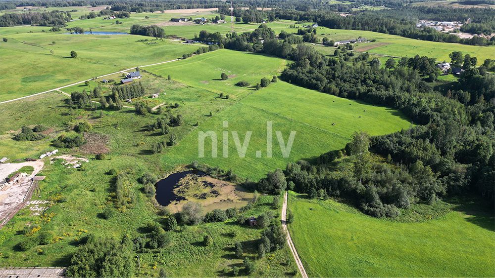 Bl-Liviem-apb-03-2025-01.jpg