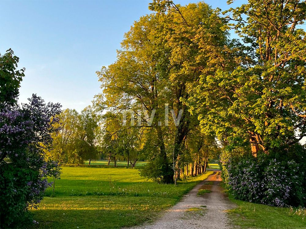 Burtnieki-Pintes-maja-033.jpg