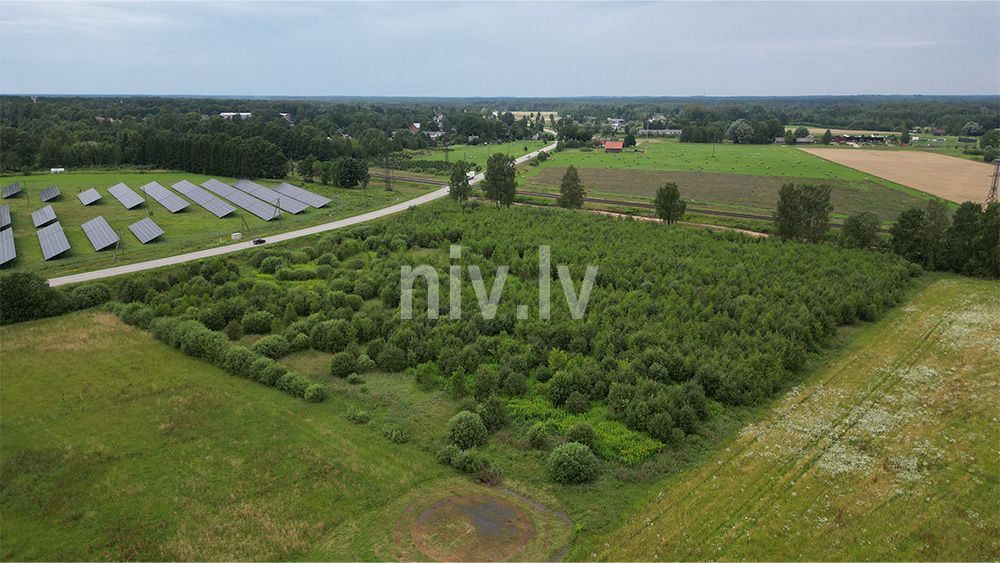 Egles-Siguldas-nov-apbv-01.jpg