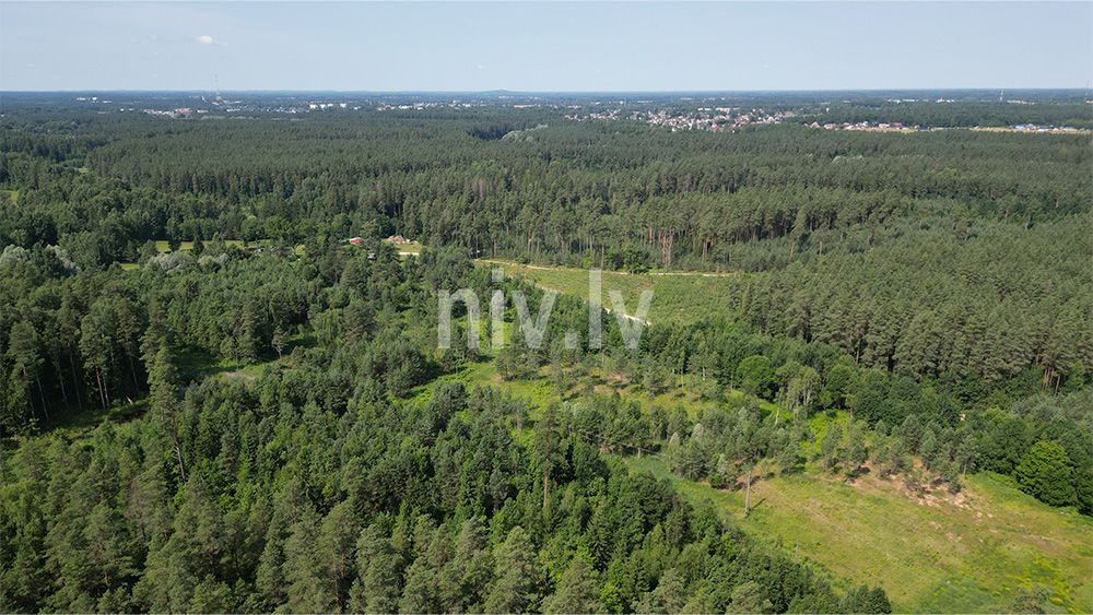 Priezu-kalni-apbuve-2026-013.jpg