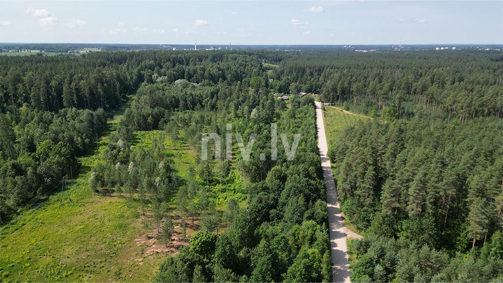 Priezu-kalni-apbuve-2026-015.jpg