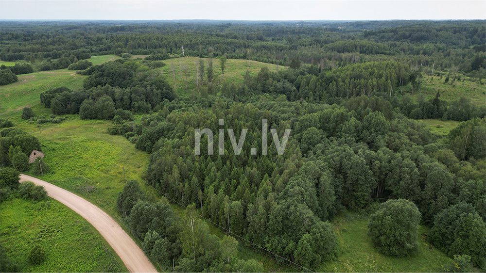 Rezgulu-krogs-0012.jpg
