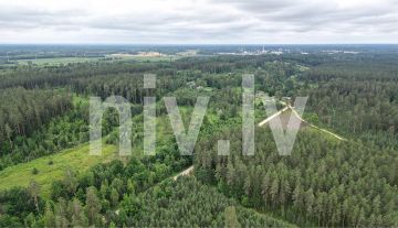 Lielkalneni-Kauguri-apbv-03.jpg
