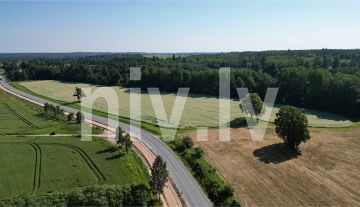 Viganti-zeme-Priekulju-pag-2026-012.jpg