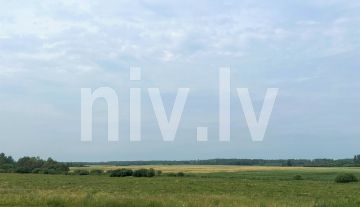 Three plots of land in Galgauskas parish for sale