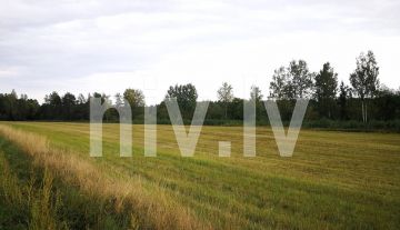 Land for sale in Ogre region, Jumprava parish